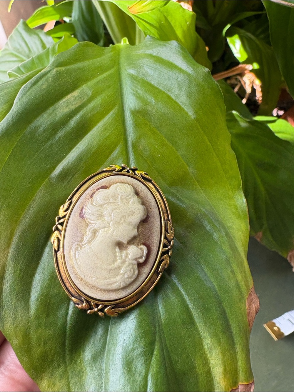 Cameo Oval Brooch - Gold Tone